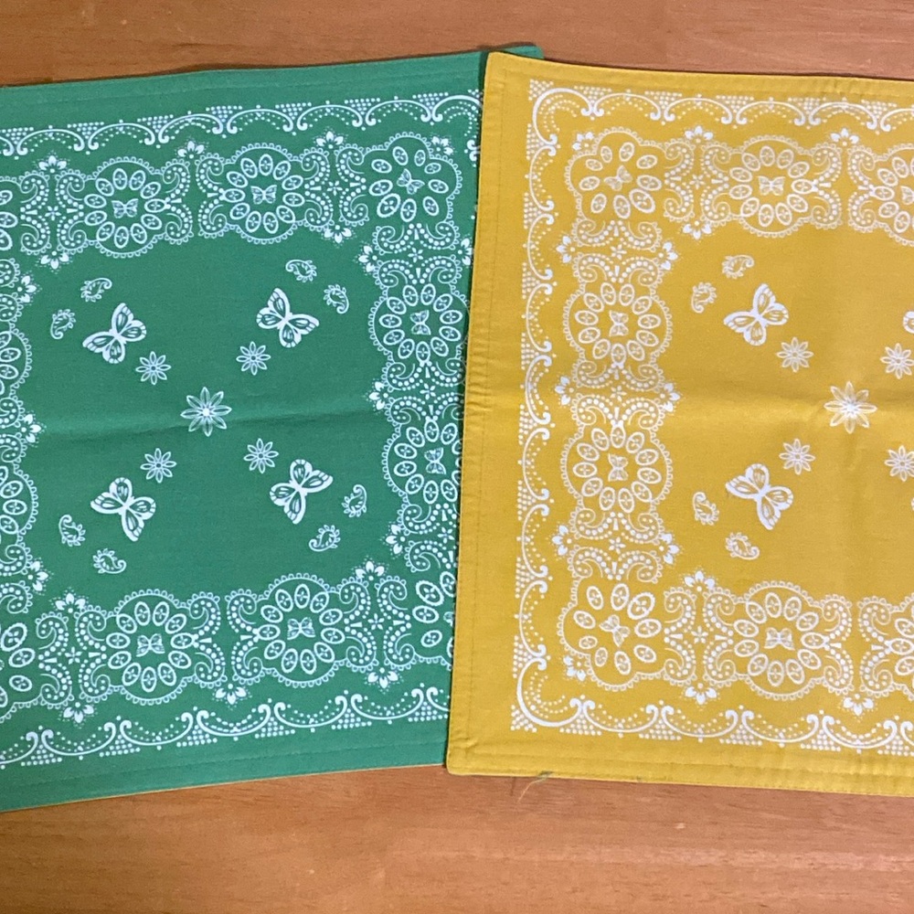 The Pioneer Woman Reversible Bandana Style Placemat 15 X 15 green yellow